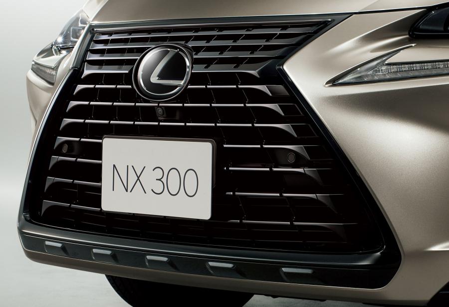 Детали экстерьера Lexus NX300 Bronze Edition 2020 года  (JP) (фото 10 из 12)